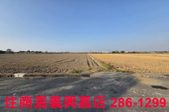 大林農地-1