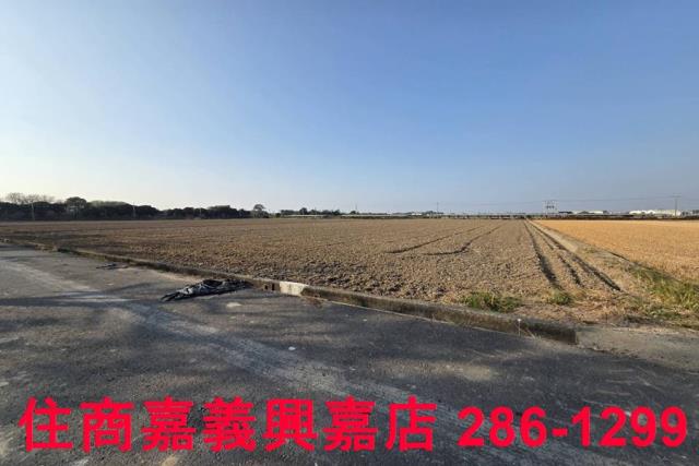 大林農地-2
