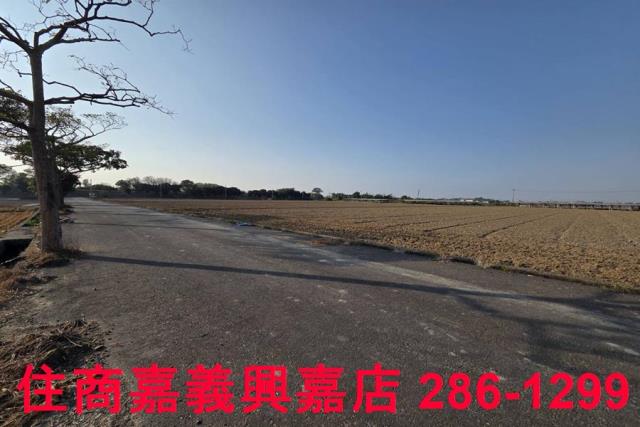 大林農地-3