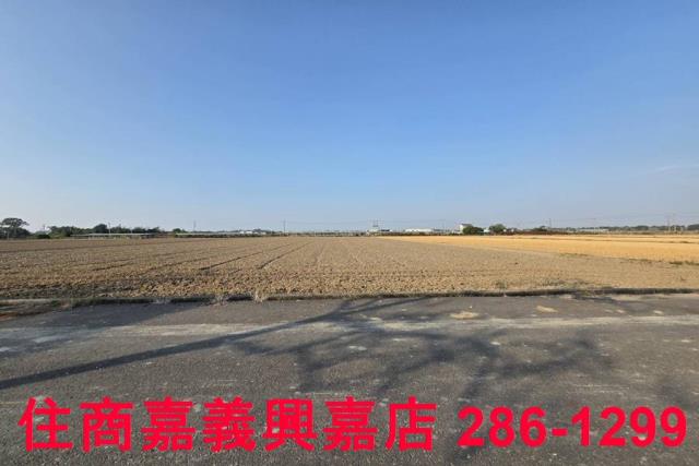 大林農地-4