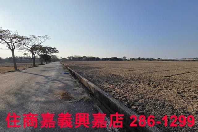 大林農地-6