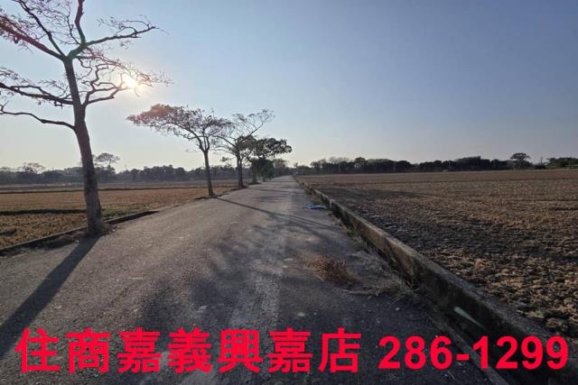 大林農地-7
