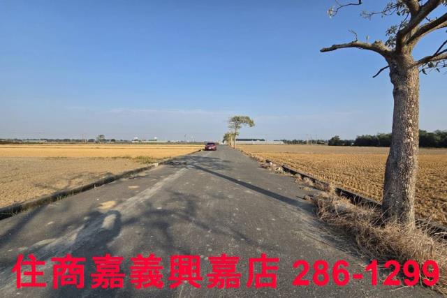 大林農地-8
