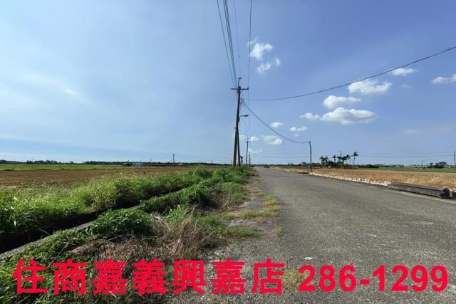 水上農地-5