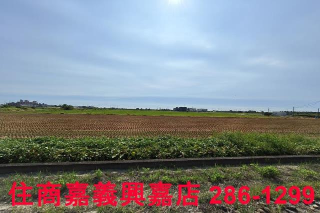 水上農地-6