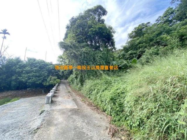 名間農地-4