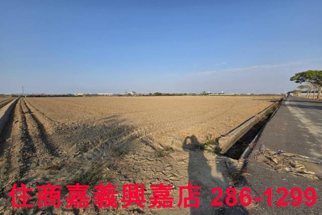 大林農地-11
