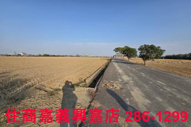 大林農地-1