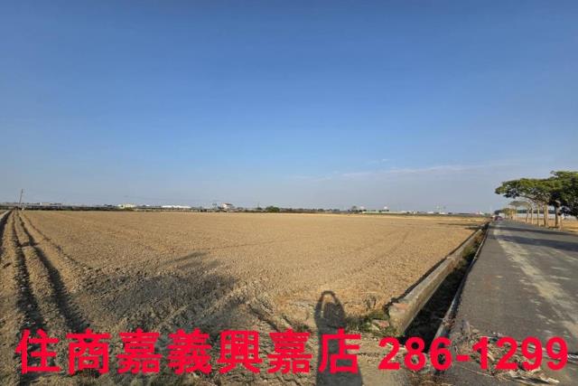 大林農地-2