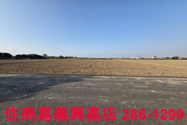 大林農地-4