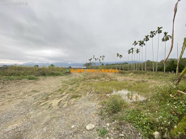 埔里農地-3