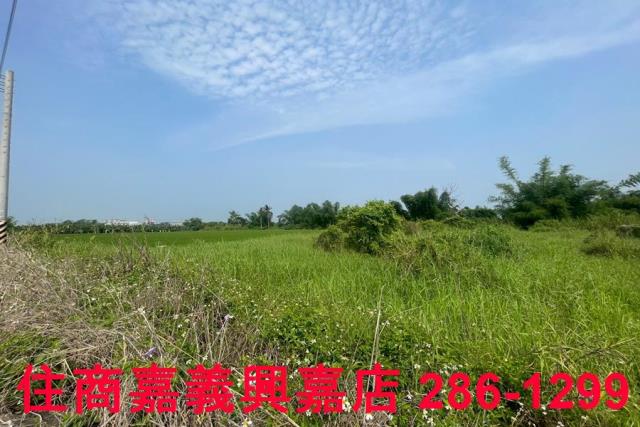 台南農地-5