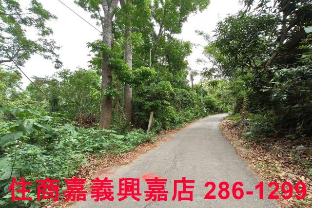 嘉義農地-8