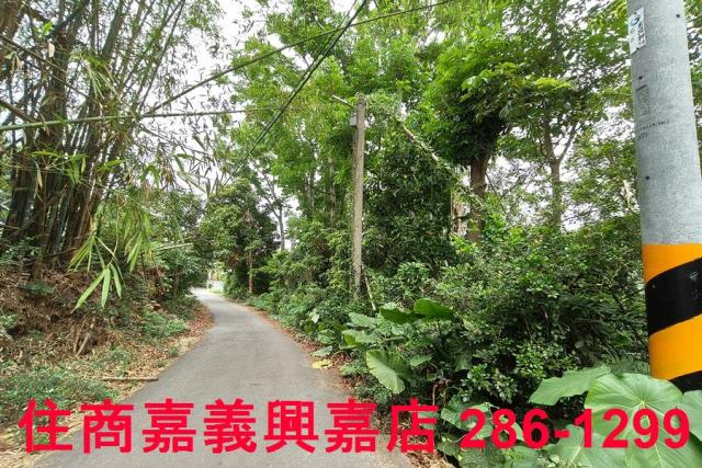 嘉義農地-4