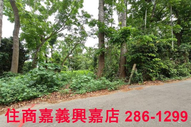 嘉義農地-6