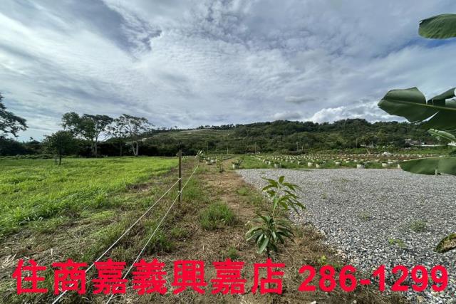 嘉義休閒地-11