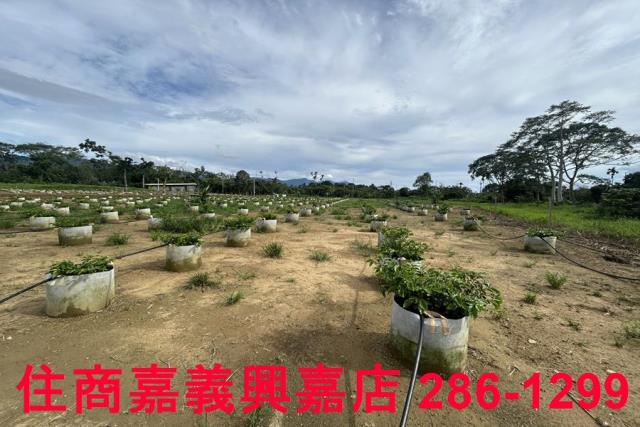 嘉義休閒地-12