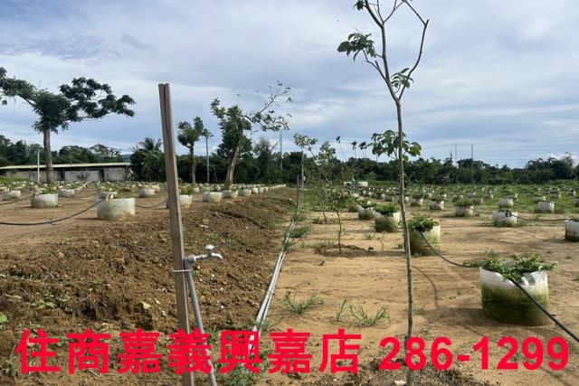 嘉義休閒地-14