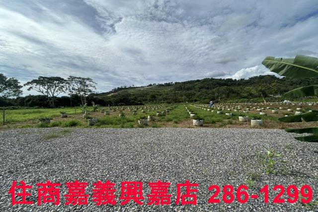 嘉義休閒地-5