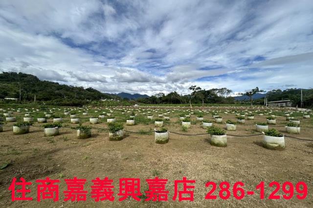 嘉義休閒地-7