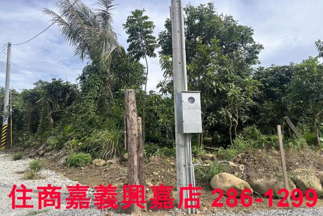 嘉義休閒地-9