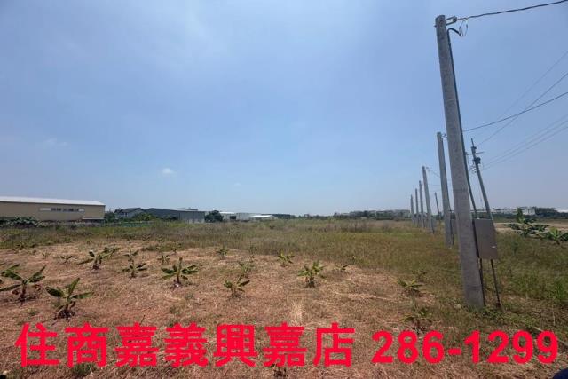 嘉義農地-5