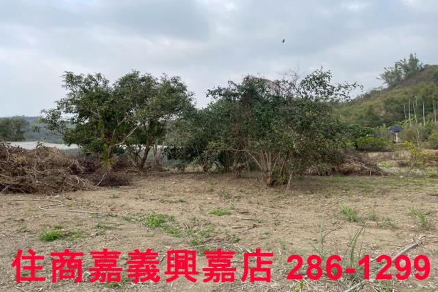 嘉義中埔農地-9