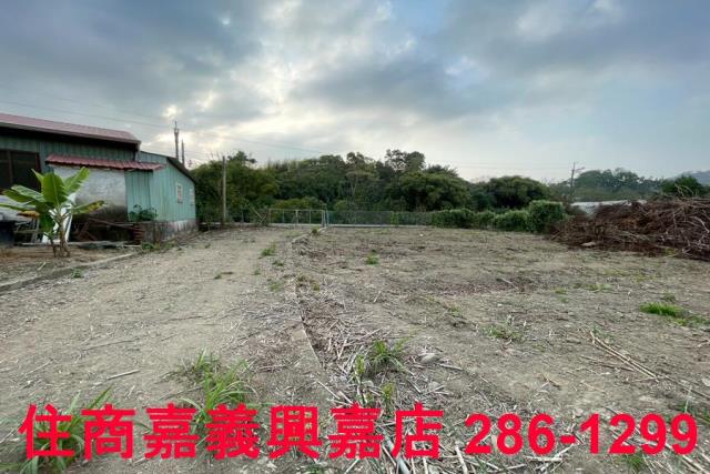 嘉義中埔農地-5