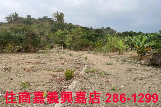 嘉義中埔農地-8