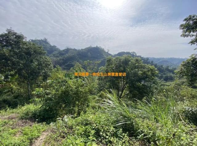 南投中寮農地-3