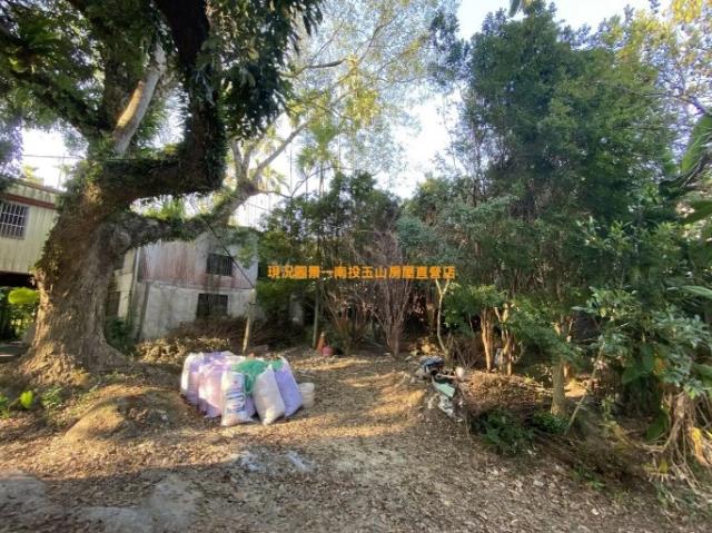 南投中寮農地-2