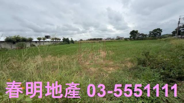 新竹新豐農地-3