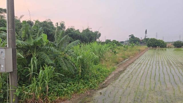 嘉義民雄農地-5