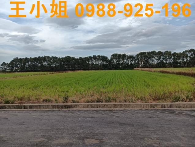桃園新屋農地-3