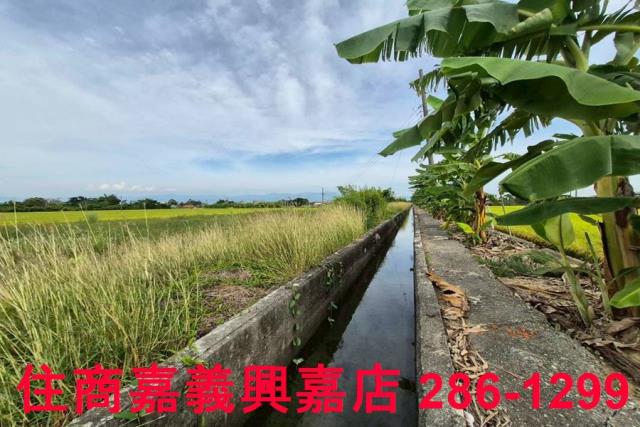 嘉義水上農地-11