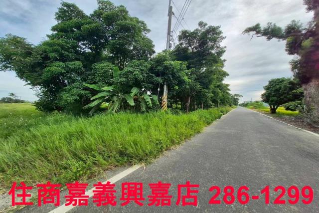 嘉義水上農地-12