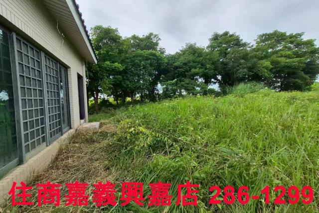 嘉義水上農地-4