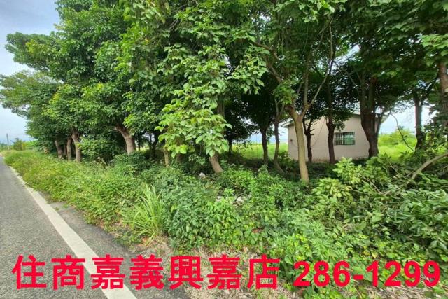 嘉義水上農地-5