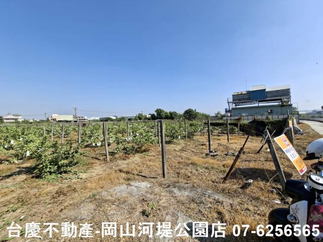 高雄大社農地-2