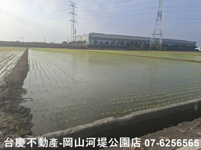 高雄路竹農地-3