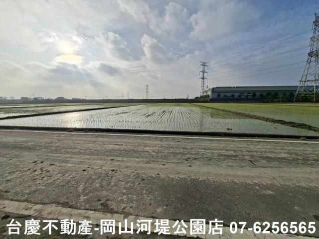 高雄路竹農地-6