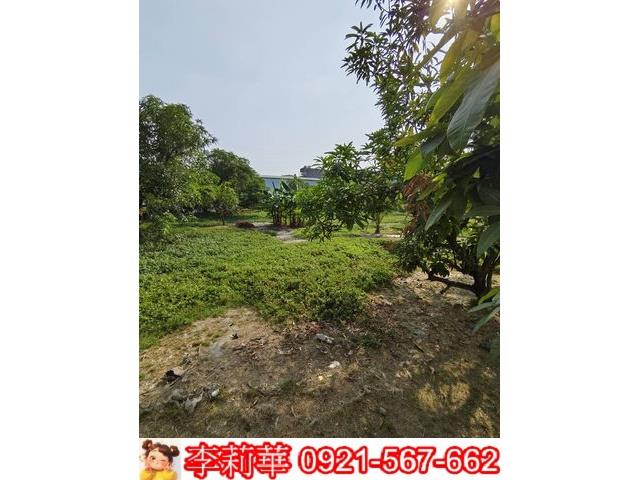 高雄岡山農地-10