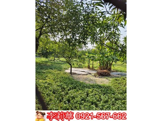 高雄岡山農地-11