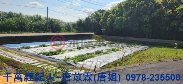 新竹湖口農地-11
