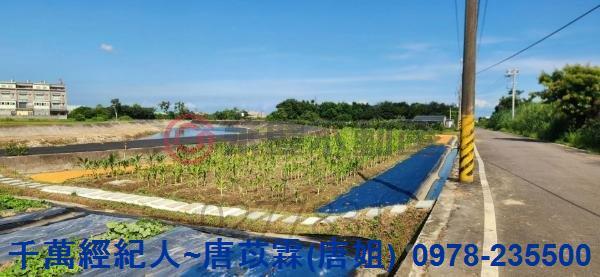 新竹湖口農地-6