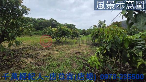 台南玉井農地-1