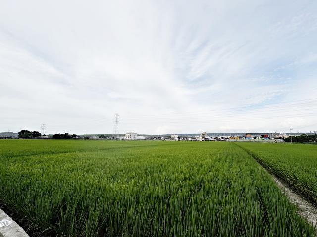 台中龍井農地-1