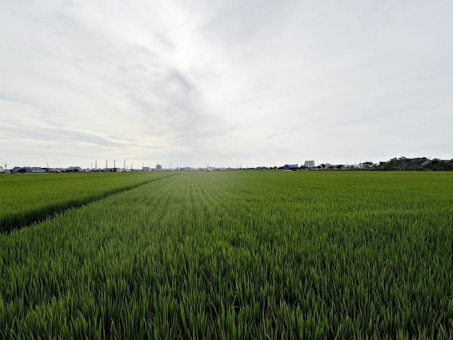 台中龍井農地-2