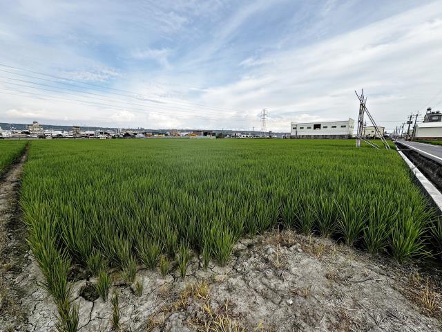 台中龍井農地-3