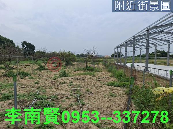 新化農地-12